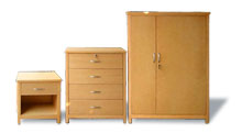 Casegoods for healthcare - Note: Custom wardrobe shown. Custom designed casegoods are available. Finishes will be custom matched to client specifications.