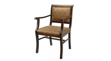 Dining / Activity Chair - Dining or activity chair for health care homes